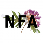 Národní filmový archiv